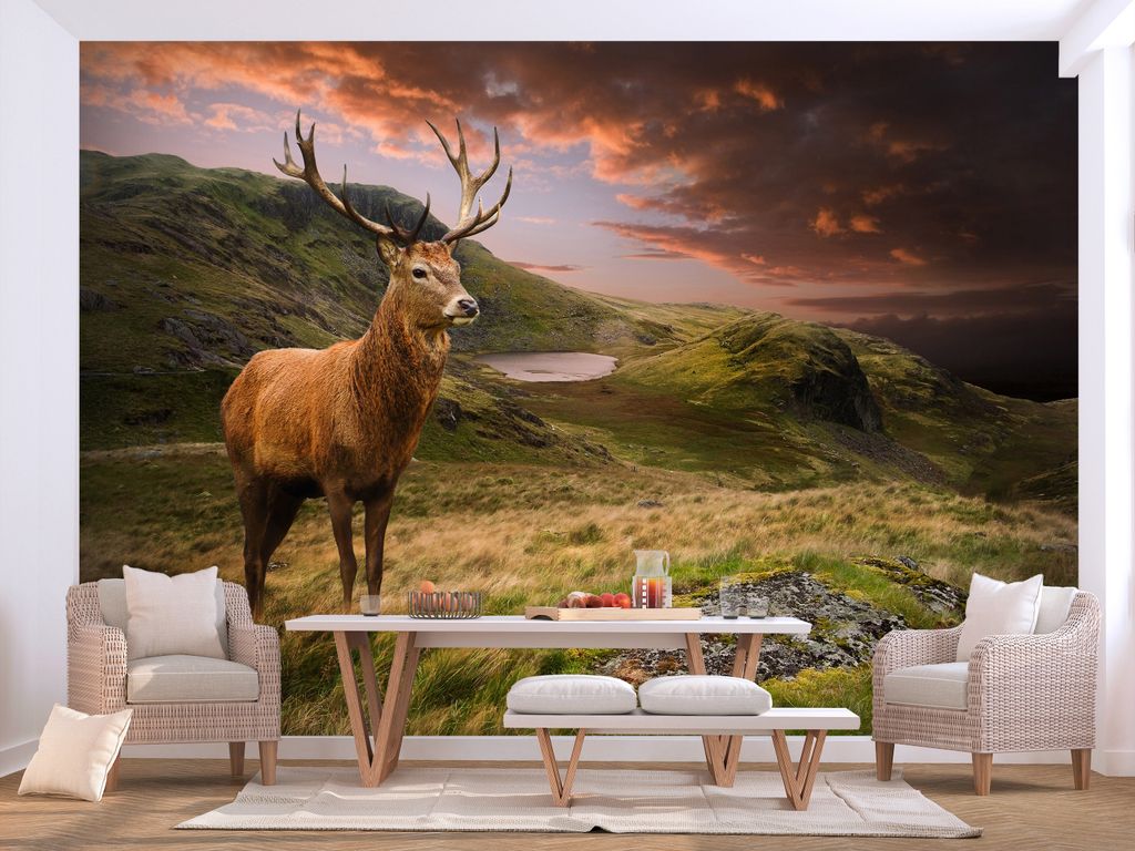 Vlies Fototapete Hirsch Tiere 400x280 cm Tapeten Wandtapete XXL Landschaft Natur g-B-0220-a-a