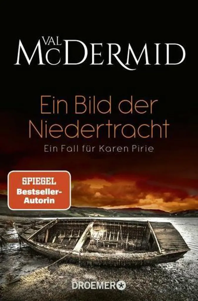 Ein Bild der Niedertracht Intrigue Psychologique Sombre Format 320 Pages