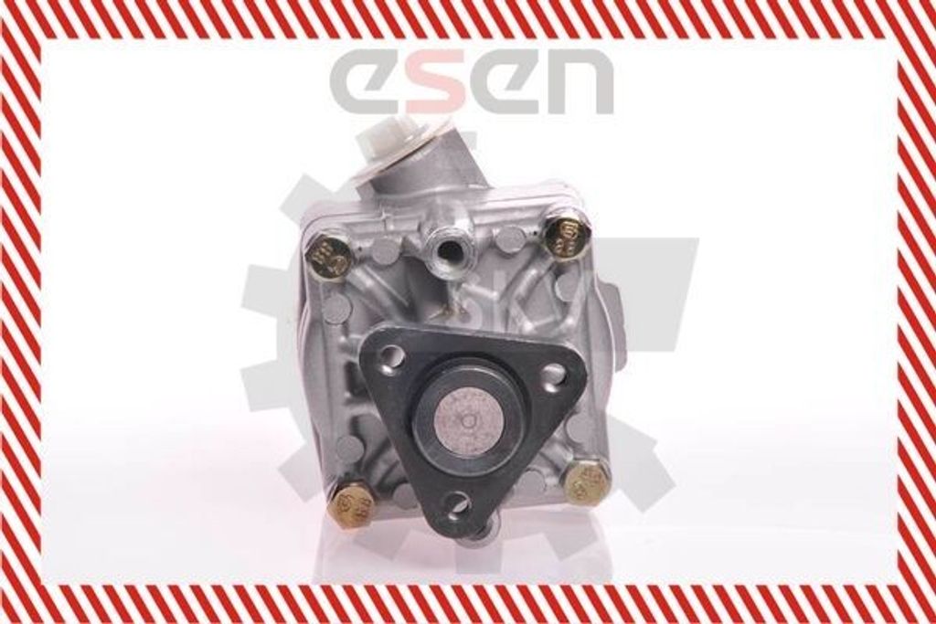 ESEN SKV 10SKV125 Servolenkung Pumpe Servopumpe für AUDI A6 Avant (4B5, C5) Hydraulisch