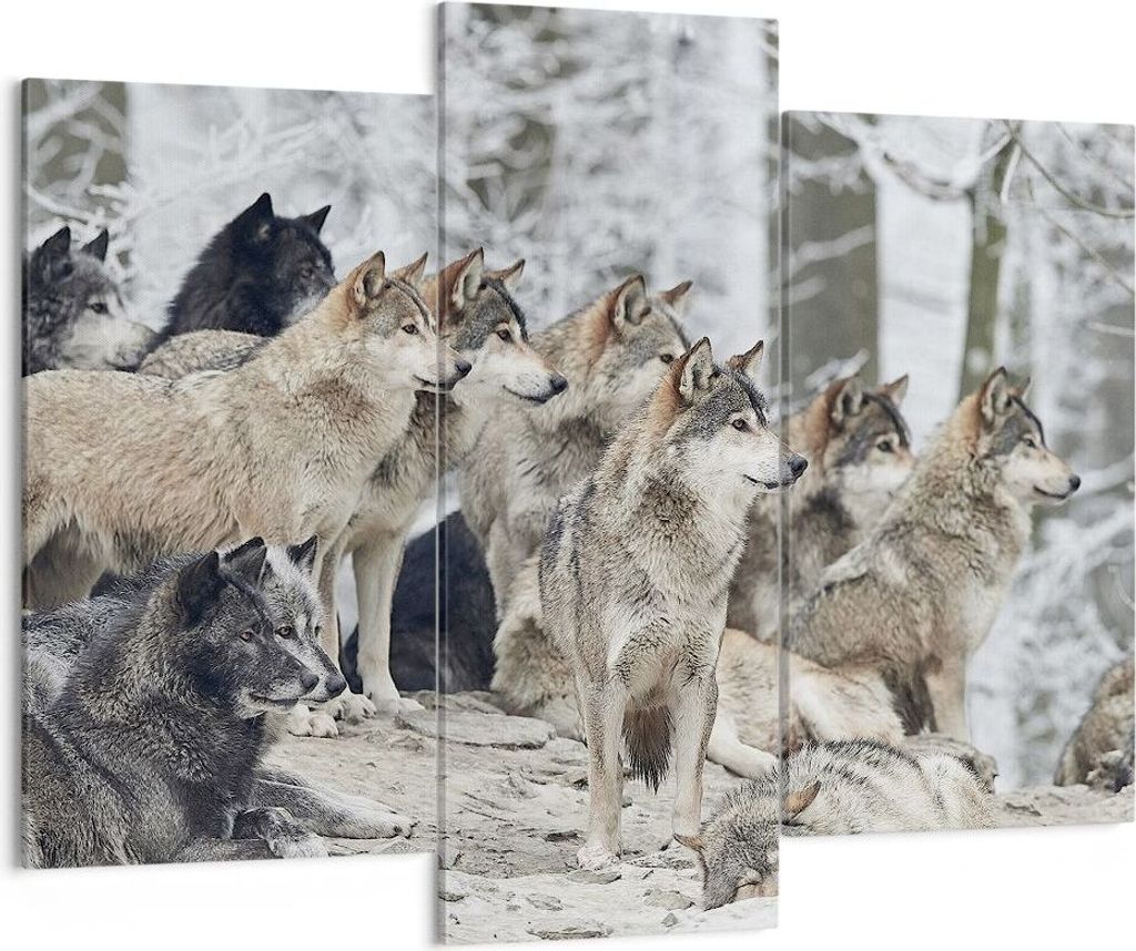 Bild auf Leinwand - Leinwandbild - 3 Teile - Rudel Wölfe Winter - 130x100cm - Wand Bild - Wanddeko - Wandbilder - Leinwanddruck - Bilder - Wanddek...