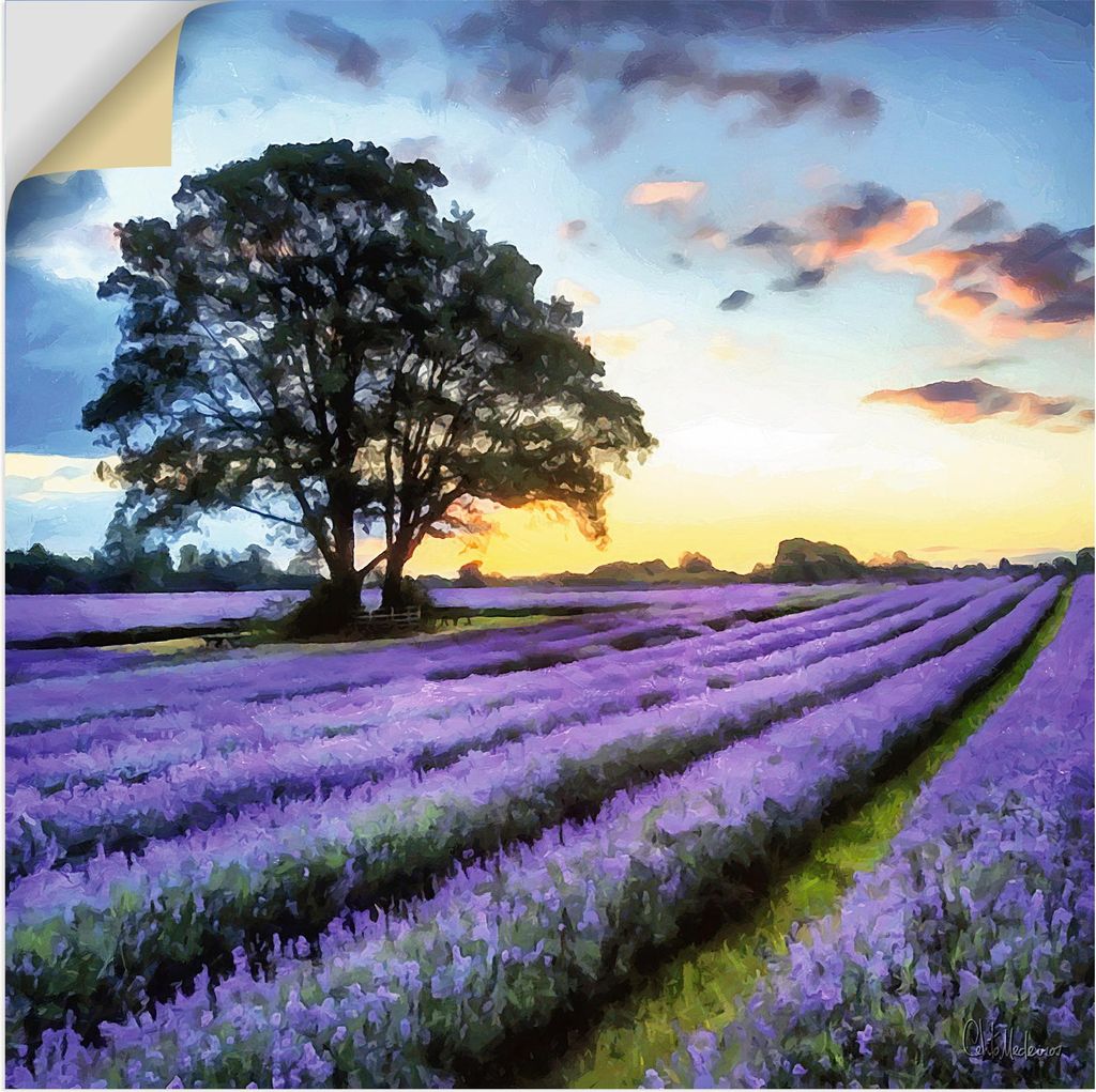 ARTland Wandbild, selbstklebend Lavendelfeld II Größe: 40x40 cm