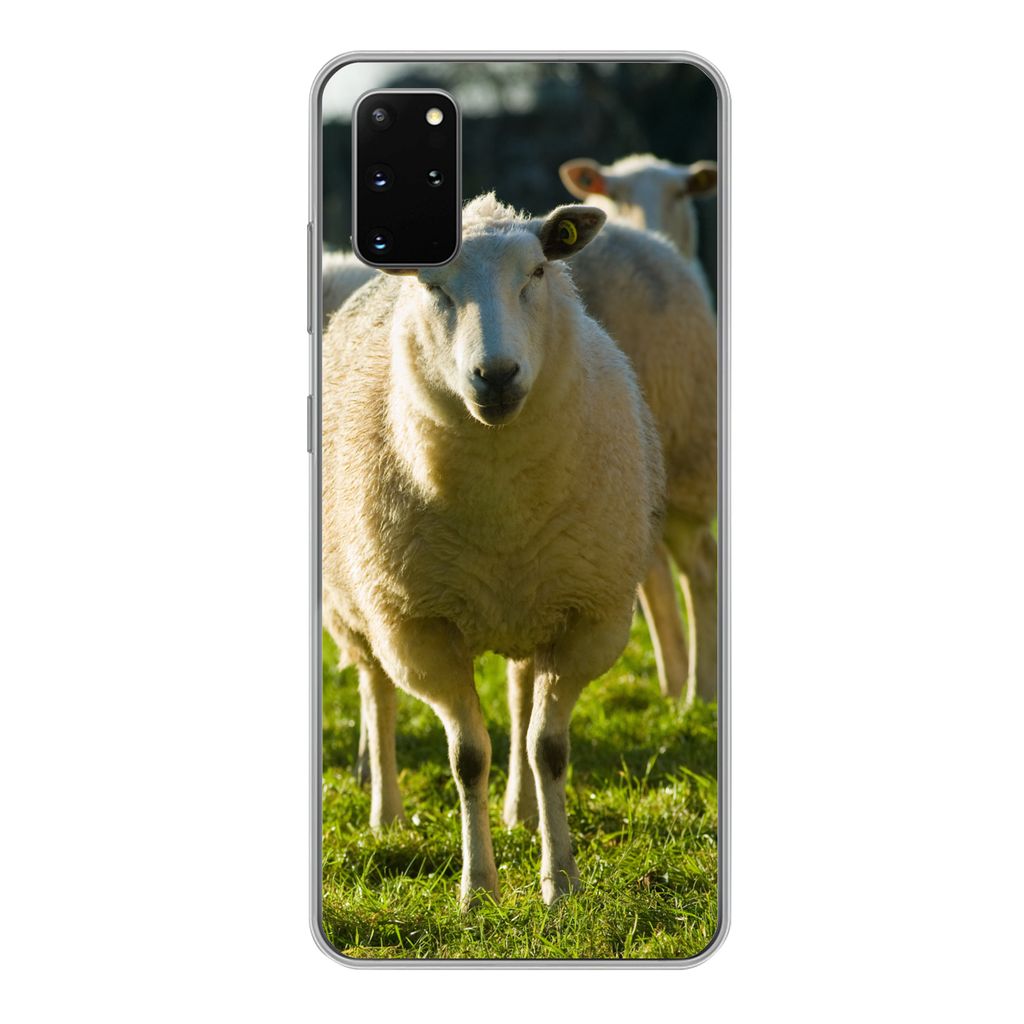 MuchoWow Handyhülle Schutzhülle Hülle für Samsung Galaxy S20 Plus Schafe - Tiere - Wolle Silikon Softcase Handy Hülle - Hartschale