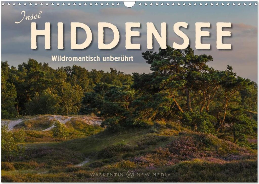 Insel Hiddensee - Wildromantisch unberührt (Wandkalender 2026 DIN A3 quer), CALVENDO Monatskalender