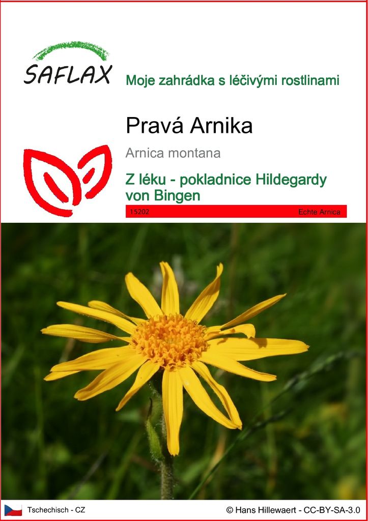 SAFLAX - Pravá Arnika - Arnica montana - 40 Semena Obrázek produktu 