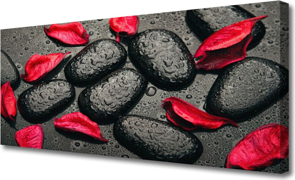 Tulup Leinwand-Bilder 125x50 Wandbild Canvas Kunstdruck Blütenblätter Steine Kunst