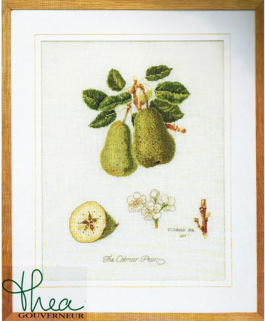 Thea Gouverneur Kreuzstich Stickpackung "Colnar-Birnen Aida", Zählmuster, 26x35cm