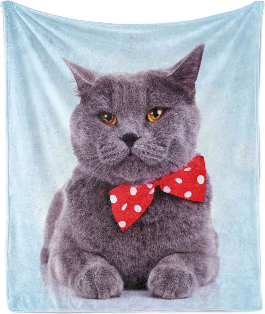 ABAKUHAUS Katze Weich Flanell Fleece Decke, Tuxedo Grau Scottish Fold Theme mit Vermilion weiße Tupfen Krawatte Bogen-Baby-Blau-Spaß, 175 x 230 c...