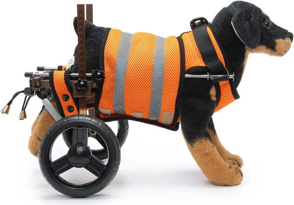 Solution Mobilité Chien Handicapé : Déambulateur Réglable à deux Roues - 5