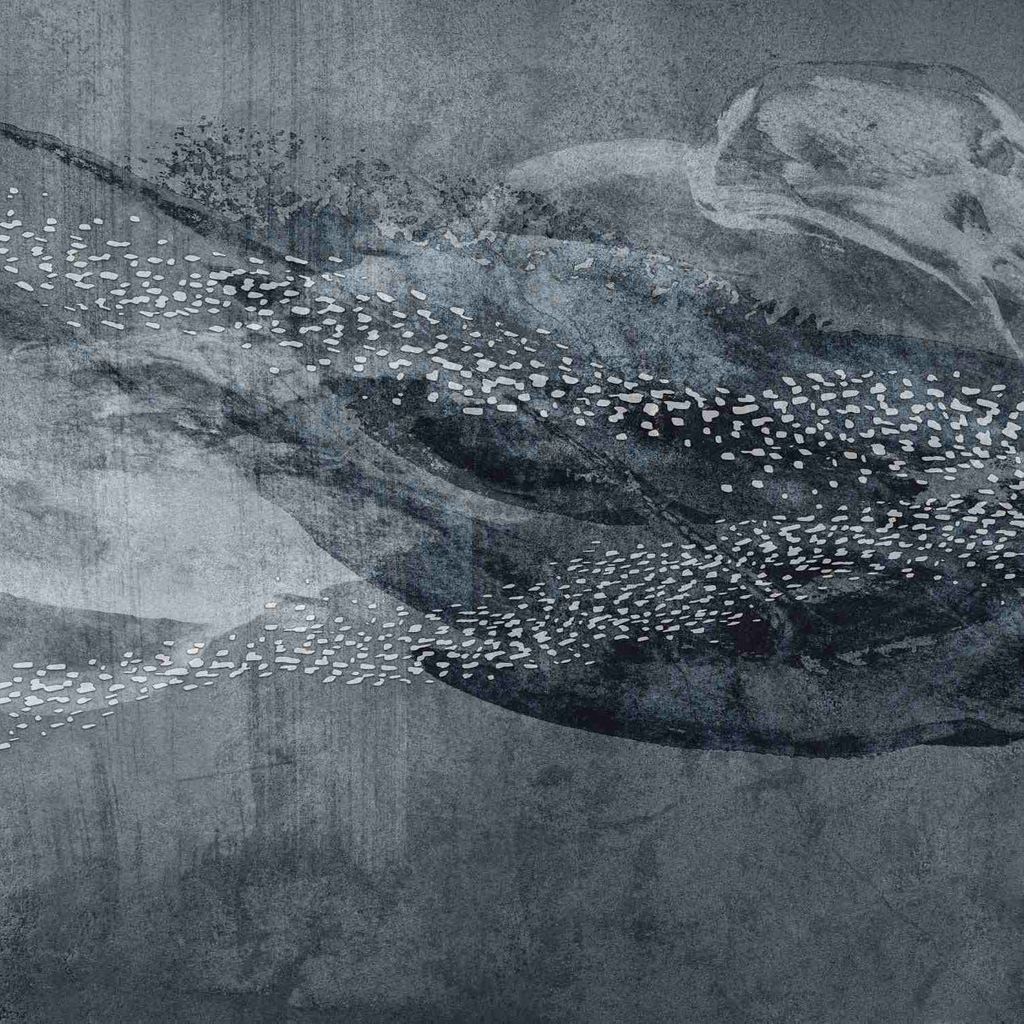 Fototapete 2237-20 Digitaldruck Tiere 4 x 2.7 m Erismann Art Edition Blau