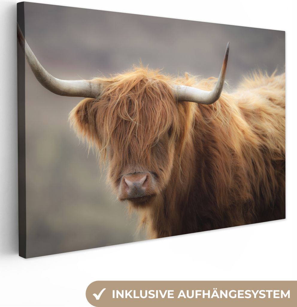 MuchoWow - Leinwandbilder - Schottischer Highlander - Hörner - Haare, Wandbild, Wanddeko Bilder Wohnzimmer, 60x40 cm