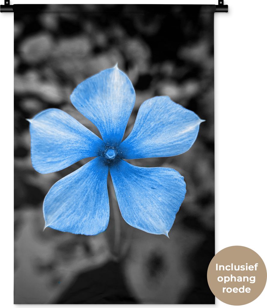 MuchoWow Wandteppich Wandbehang Blumen - Blau - Schwarz - Weiß 60x90 cm Tapisserie Dekoration Wandtuch - Foto-Teppich - Abwaschbar