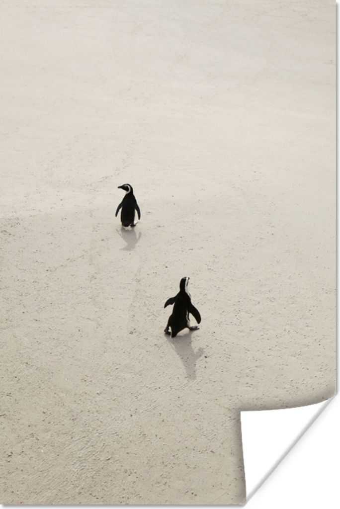 MuchoWow Poster Zwei Pinguine spazieren auf dem Sand in Südafrika 20x30 cm - Papierdruck