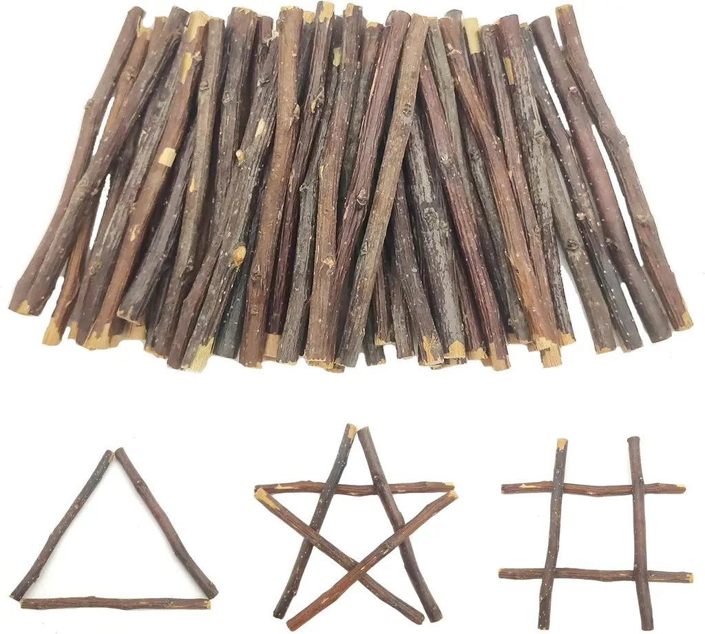 50 Tiges de Bouleau Brun Naturel pour Décoration et Bricolage DIY