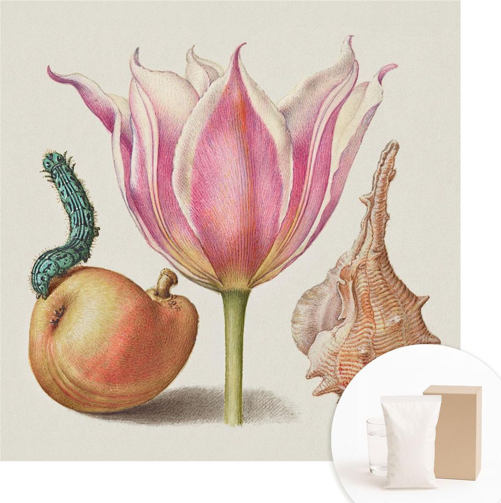 Fototapete - Wandbilder für Wohnzimmer - 250x250 cm - Dekorative Wandfolie - Modernes Design für Wanddekoration - Tapeten für Innenräume - Nat...
