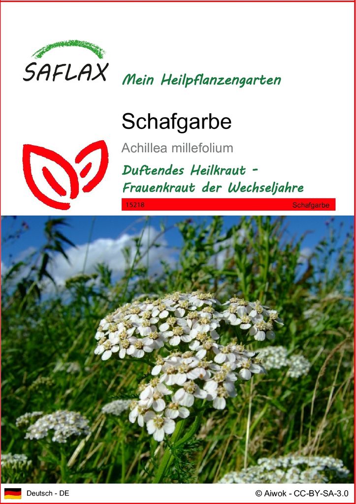 SAFLAX - Schafgarbe - Achillea millefolium - 200 Samen Produktbild 
