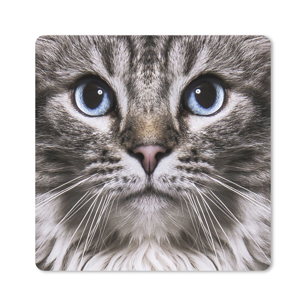 MuchoWow Mauspad Mousepad Katze - Blau - Grau 23x19 cm - Mousepads - Maus Mat - Pad - Mausunterlage - Schreibtischunterlage - Mauspad