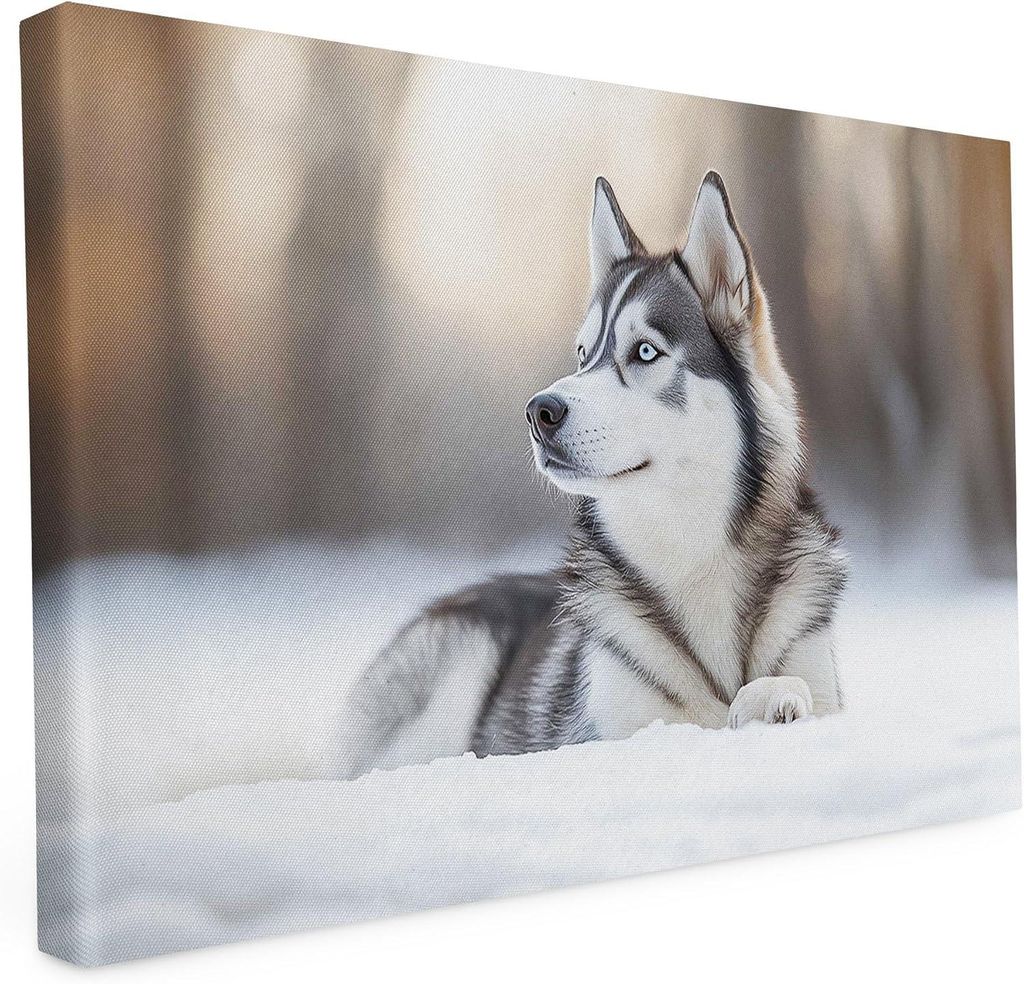 Keilrahmen - Husky im Schnee - 30x20 cm - Katzen und Hunde - Wandbild auf Künstler Leinwand – Hochwertiger Kunstdruck - 2cm Holzrahmen - 280g Ca...