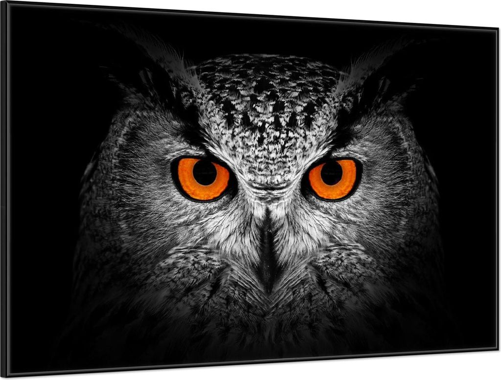 Wallario Wandbild Blick aus der Dunkelheit, Größe: 61 x 91,50 cm, Poster mit schwarzem Aluminiumrahmen