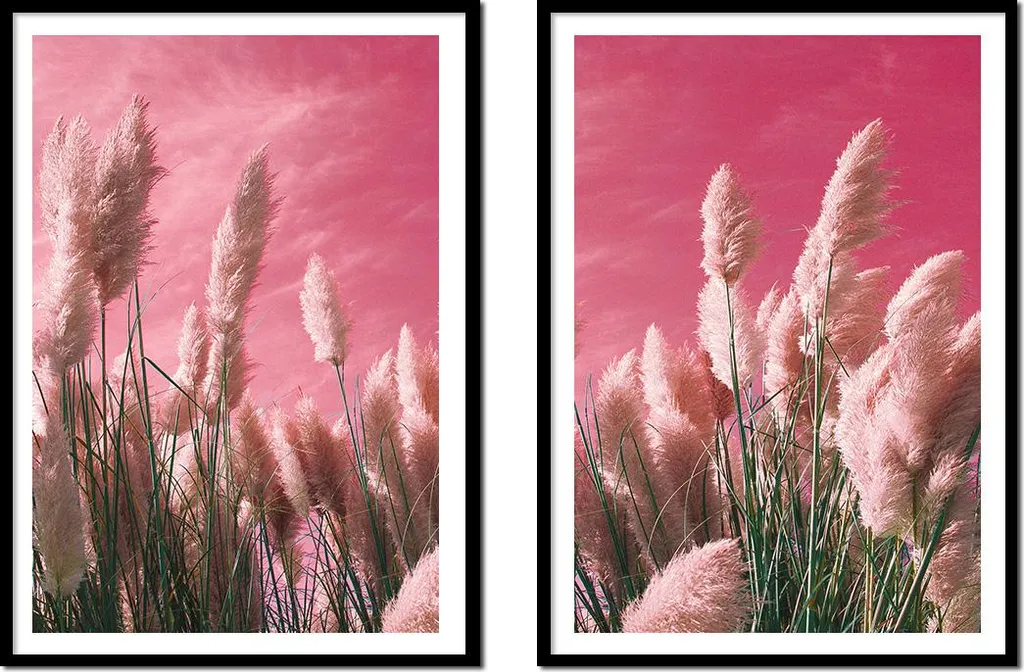 Tableau Herbes Boho Diptyque P2155 : Décorez vos Murs Vides 53x73cm