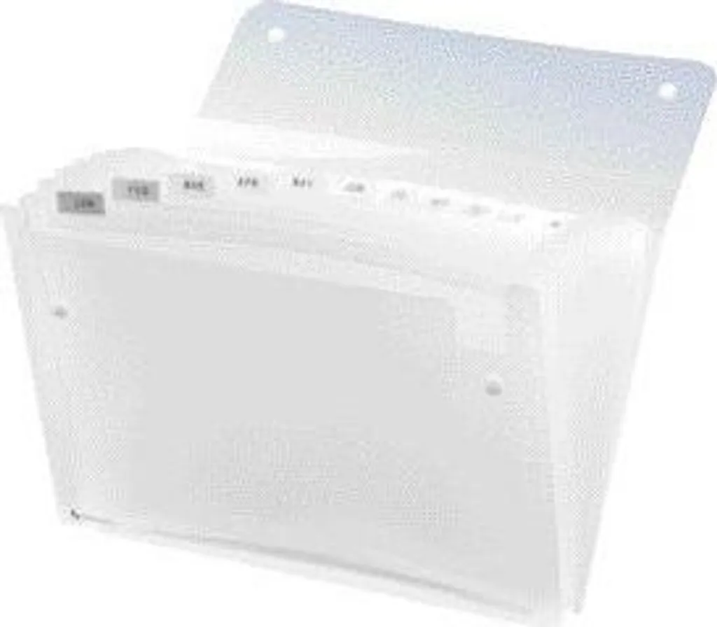 Rexel Ice Lot de 10 Chemises à Élastiques 33 x 24,5 cm Transparentes