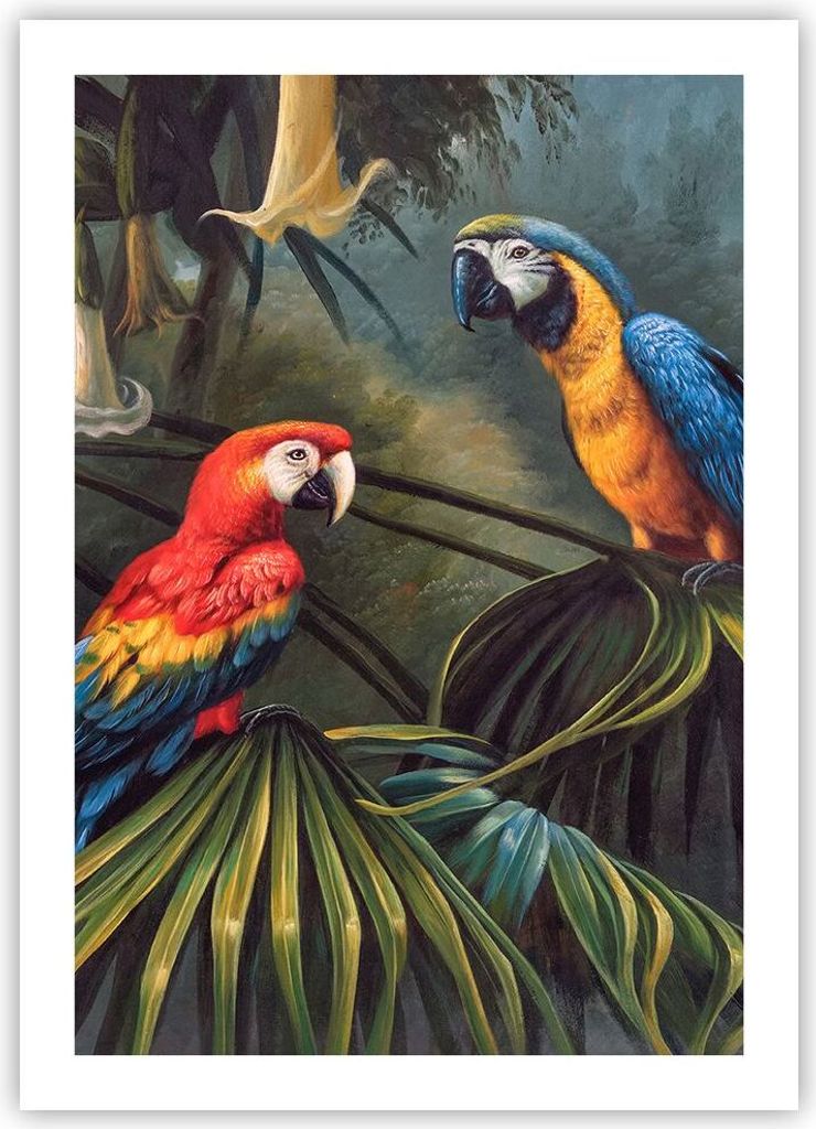 Poster - Poster ohne Rahmen - Ara Papageien Palmen - 50x70 cm - Wand Bild - Wanddeko - Wandbilder - Kunstposter - Wandposter - Bilder - Kunstdruck ...