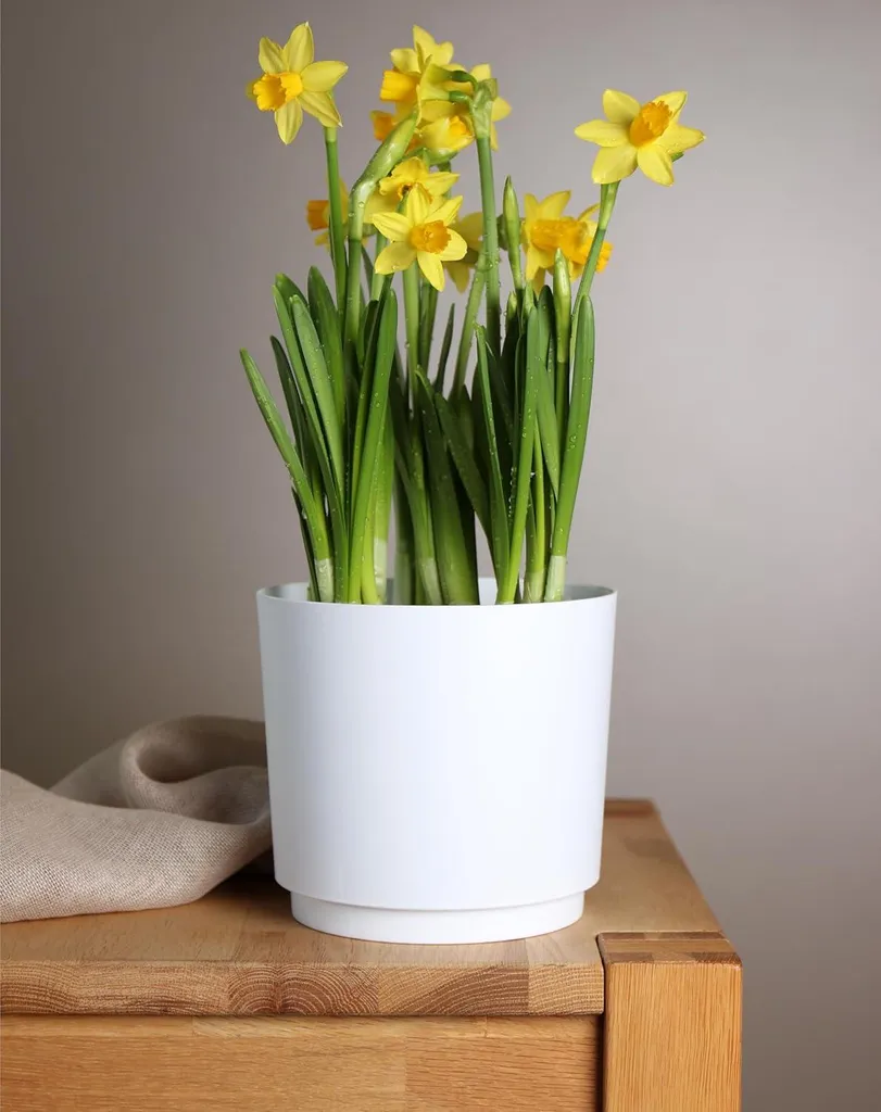 Lot de 3 pots de fleurs 18L blancs 145cm en plastique incassable mat