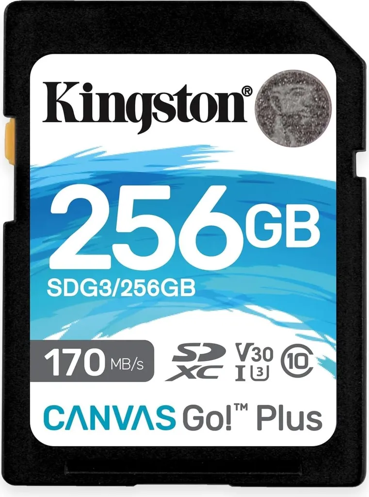 SD Kingston Canvas Go! Plus Classe 10 UHS-I U3 V30 - Compatibile 4K