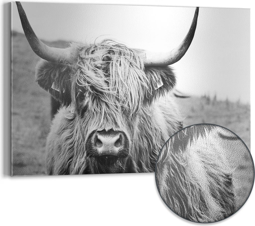 DEQORI Magnettafel Metall 60x40 cm 'Zotteliges Hochlandrind' Whiteboard Pinnwand Büro