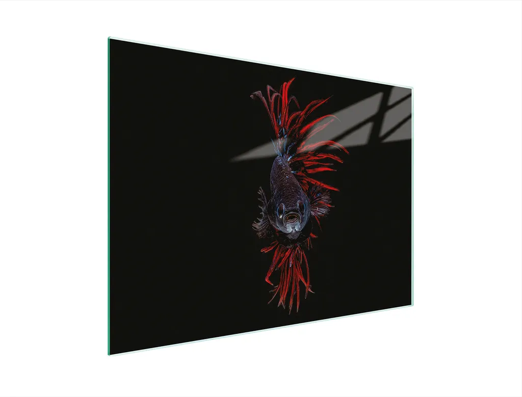 Tagliere Piastra copriforno Tagliere multiglass 30x22 cm Pesci Nero