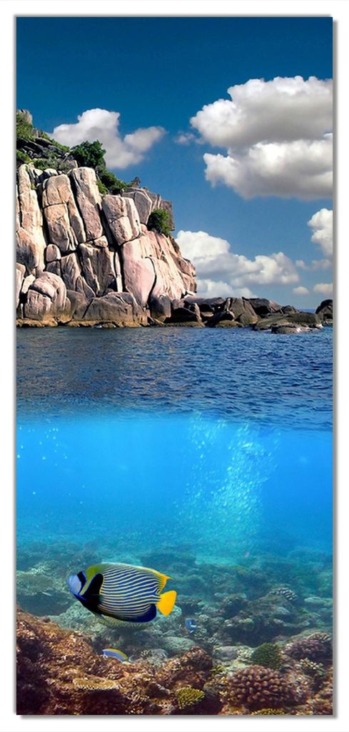 Wallario selbstklebende Türtapete 100 x 220 cm mit Schutzlaminat - Bunte Fische im Meer