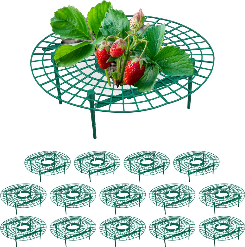 Tappetino per fragole RD49614, 15 pezzi. Immagine del prodotto 