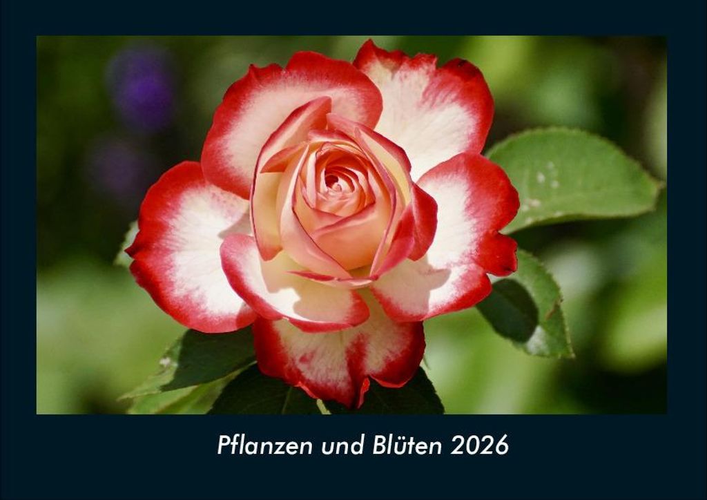 Pflanzen und Blüten 2026 Fotokalender - Querformat DIN A4, Monatskalender mit Bild-Motiven aus Fauna und Flora, Natur, Blumen und Pflanzen