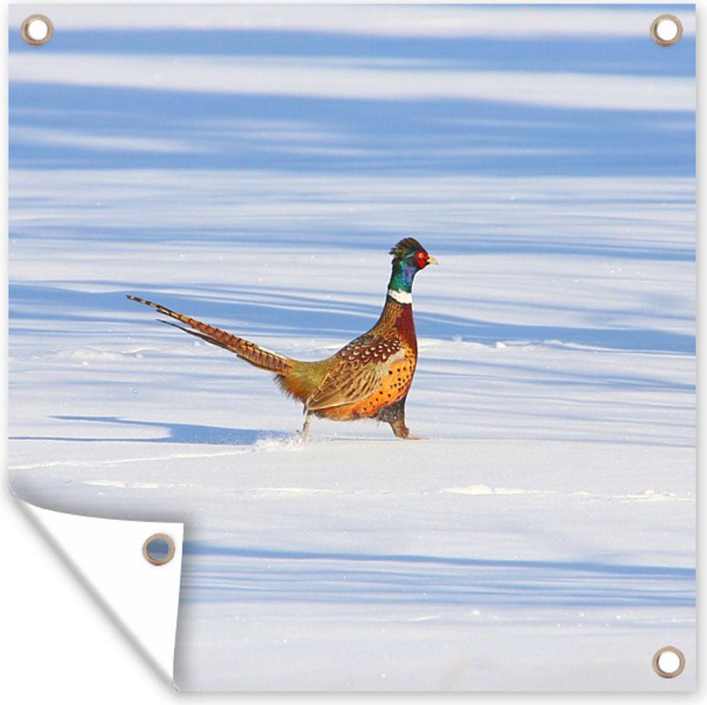 MuchoWow 100x100 cm Outdoor-Poster Gartendeko Sichtschutz Garten Poster für den Garten Fasan - Schnee - Winter