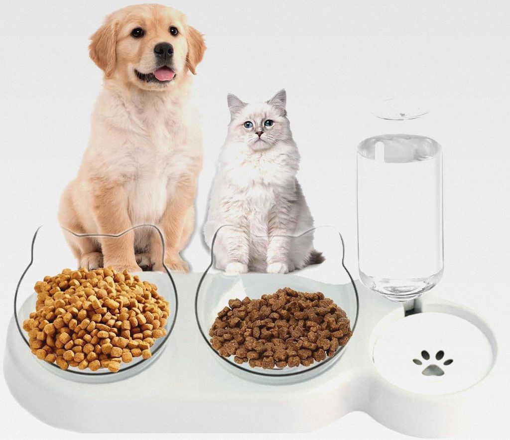 3-in-1 Katzen Futternapf Set, Doppelnapf mit Wasserspender, Futternapf Futterschüssel für Katzen und Kleine Hunde(Grauer Boden, transparente Schale)