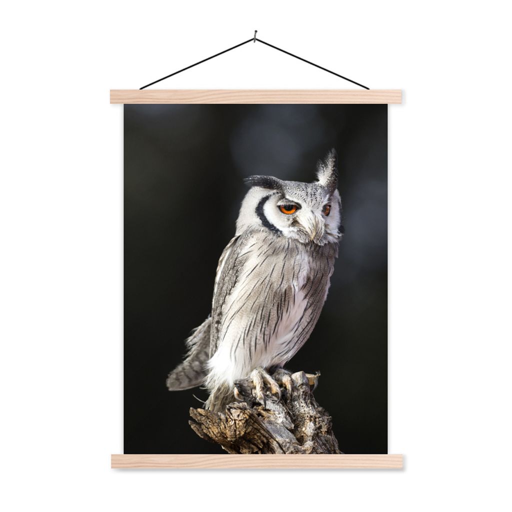 MuchoWow Textilposter Sperlingskauz 60x80 cm mit holzfarbenen Rahmen - Wandbild