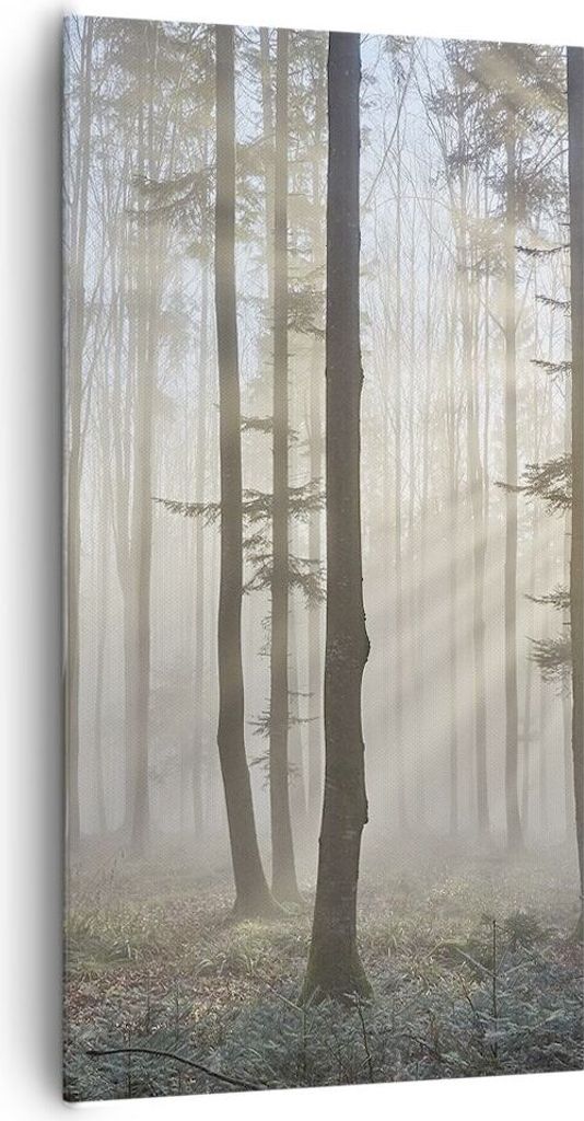 Bild auf Leinwand - Leinwandbild - Wald Baum Natur - 65x120cm - Wand Bild - Wanddeko - Wandbilder - Leinwanddruck - Bilder - Kunstdruck - Wanddekor...