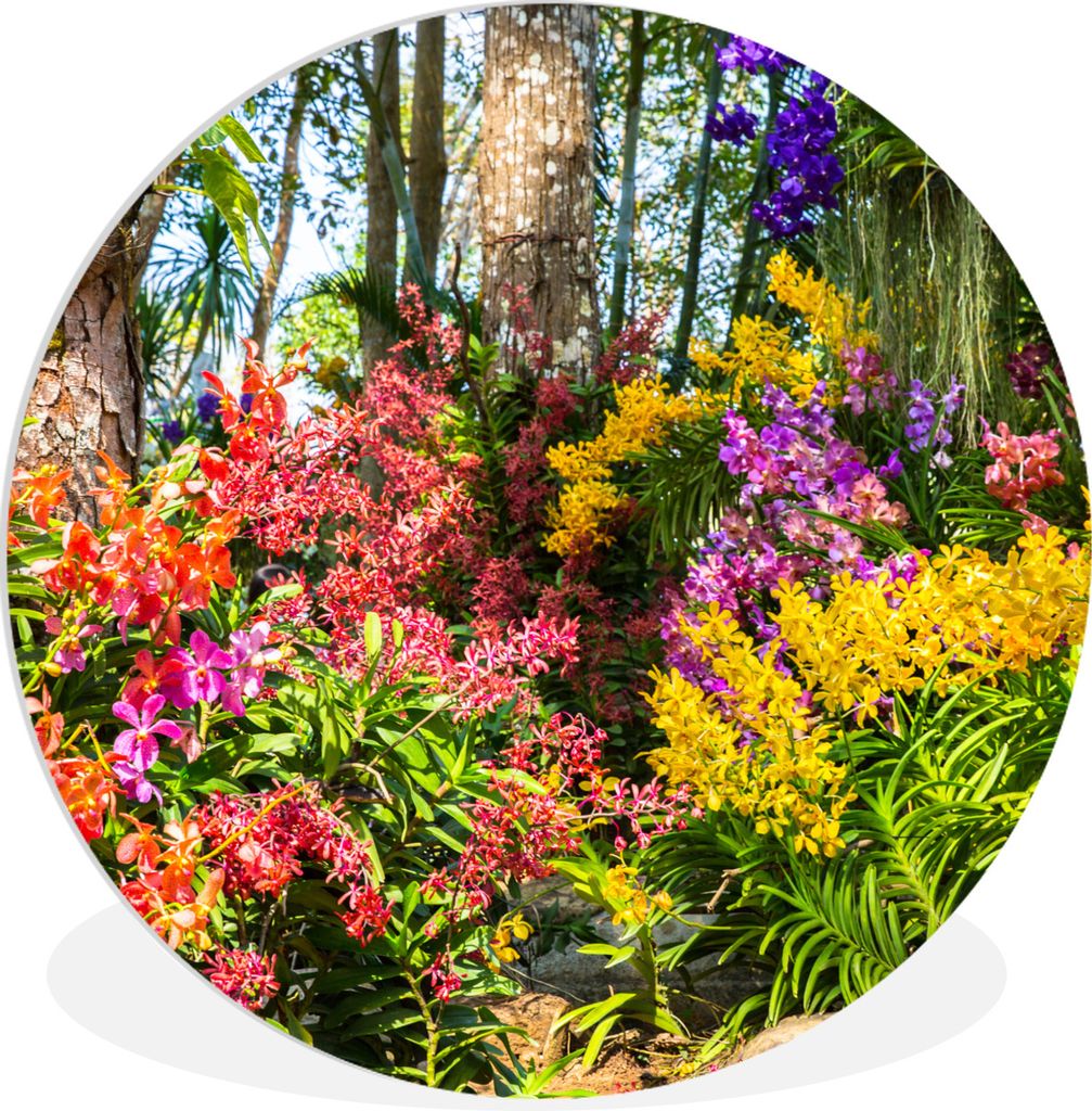 MuchoWow Rundes Wandbild - Runde Bilder Blumen - Regenbogen - Wald - Jahreszeiten Ø 90 cm Kreis Wanddekoration Kunststoff - Wandkreis - Wandschm...