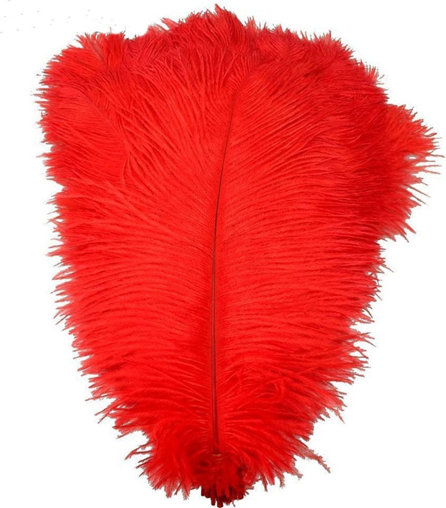 Pštrosí peří 20-25 cm, barva červená / 1ks Obrázek produktu 