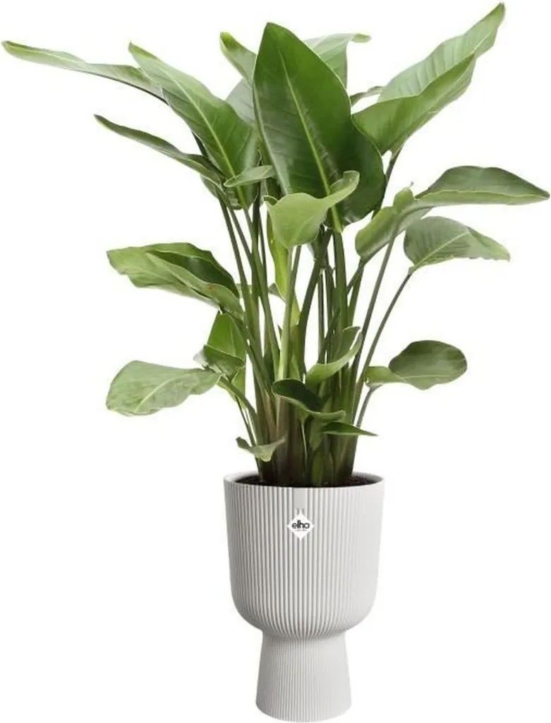 Grand cache-pot elho Vibes Fold Cup blanc en plastique robuste