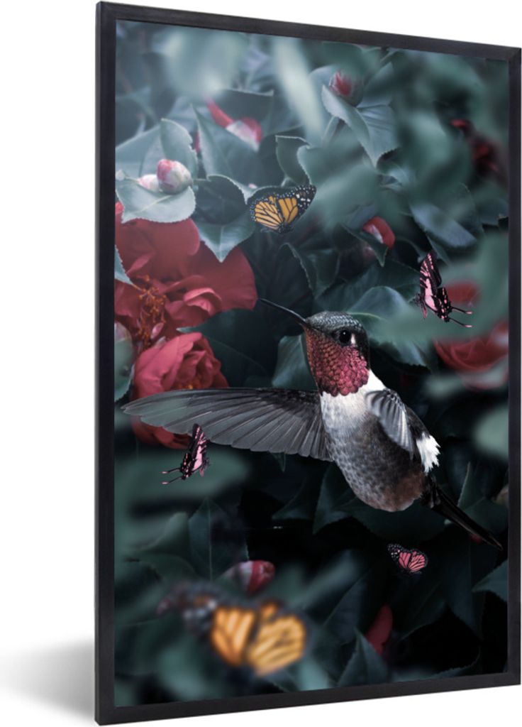 MuchoWow Gerahmtes Poster Kolibri - Rosa - Schmetterlinge 20x30 cm - Poster mit Schwarzem Bilderrahmen Wandposter Rahmen Foto Bilder - Drucken - ...