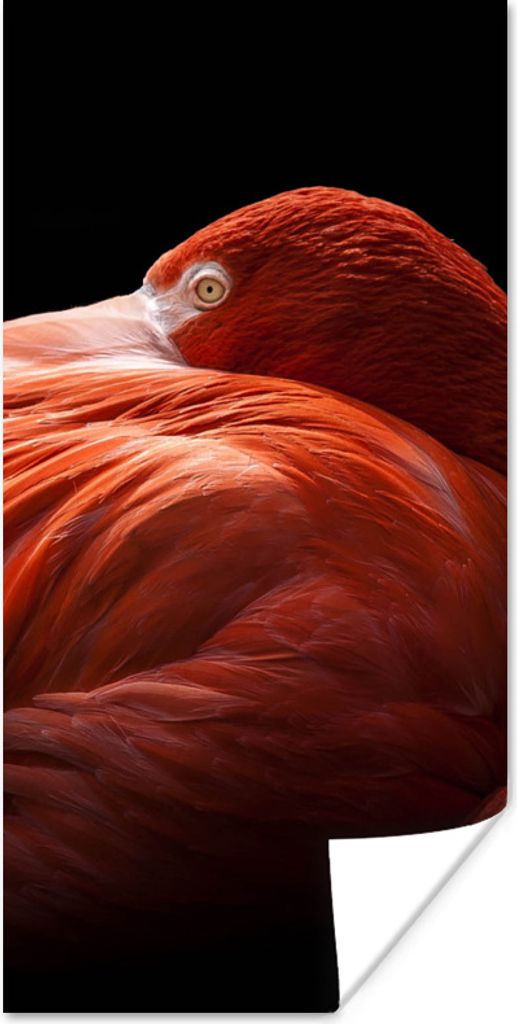 MuchoWow Poster Flamingo - Federn - Rosa 20x40 cm - Plakat - Foto