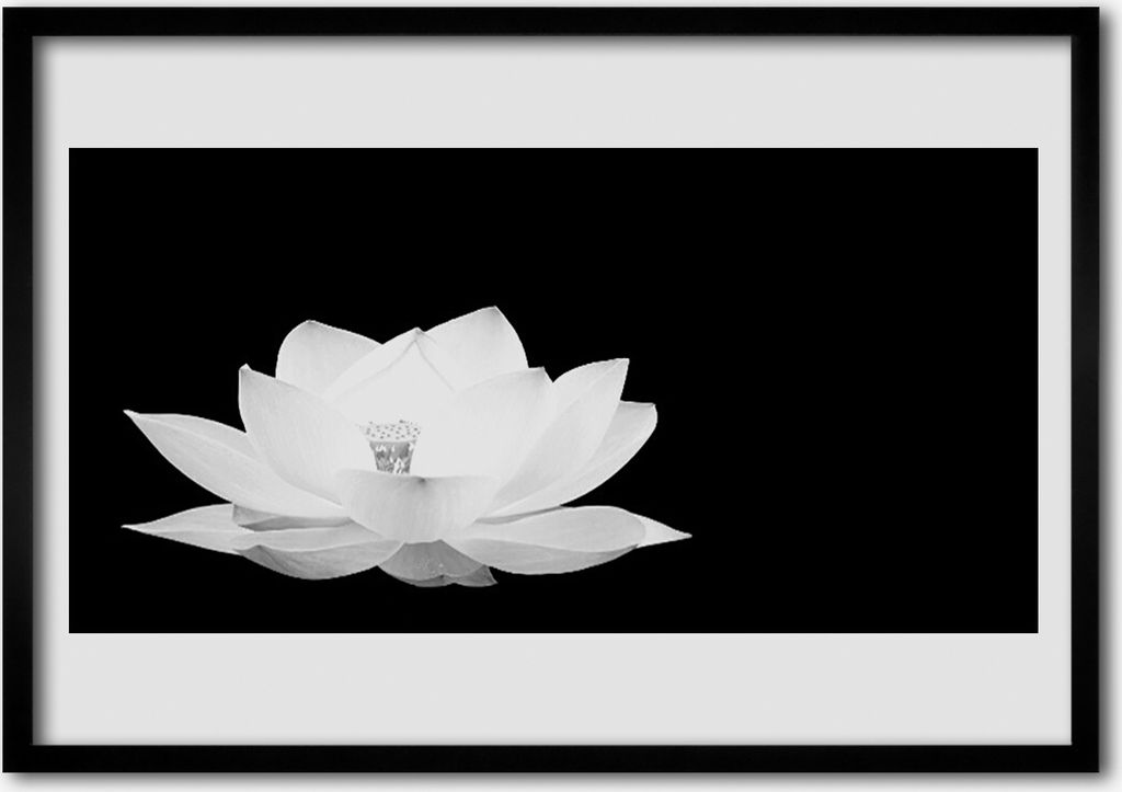 Bild 100x70 MDF-Rahmen Wandkunst Natur Blume Pflanze