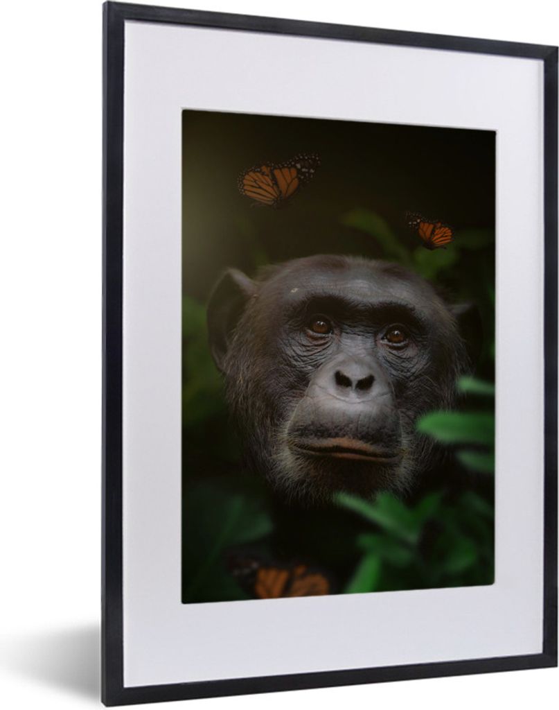 MuchoWow MuchoWow Gerahmtes Poster Affe - Dschungel - Schmetterling 30x40 cm - Poster mit zchwarzem Bilderrahmen - Wandposter Schlafzimmer