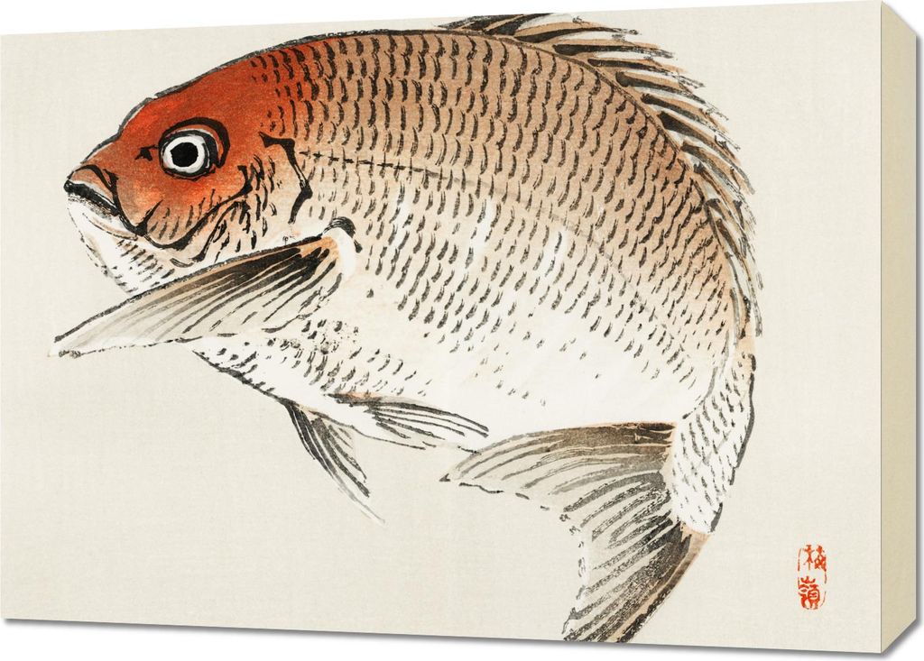 Bild 70x50cm Tai Fish, Kōno Bairei Japanischer Vintage für das Wohnzimmer