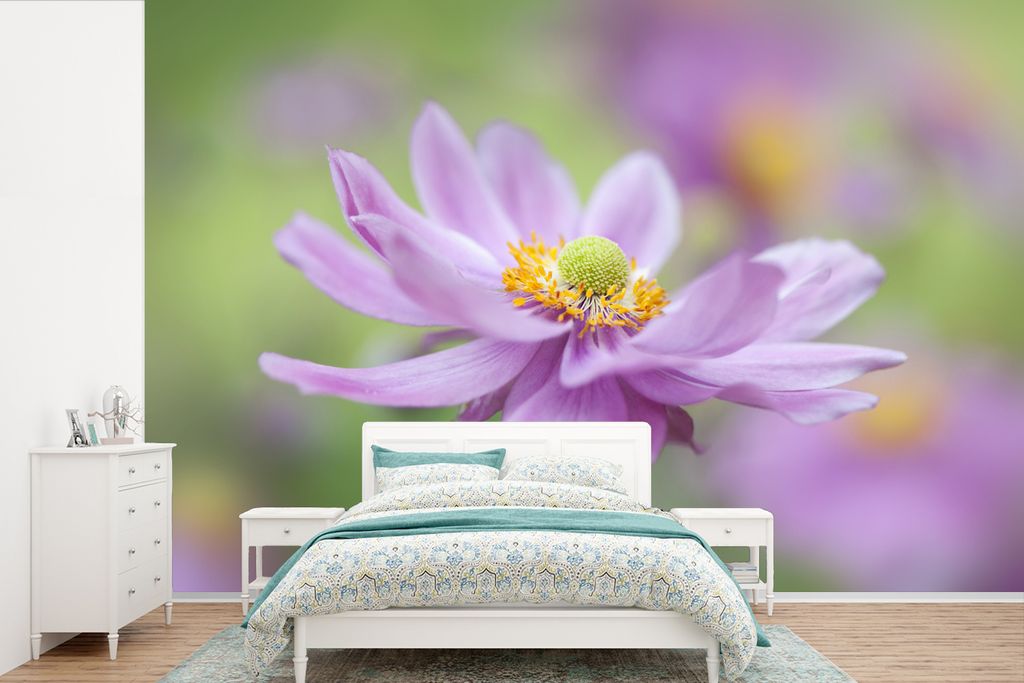 MuchoWow Fototapete für Wohnzimmer oder Schlafzimmer Wandtapete Vinyl Motivtapete Rosa Anemone - 600x400 cm - Vinyltapeten