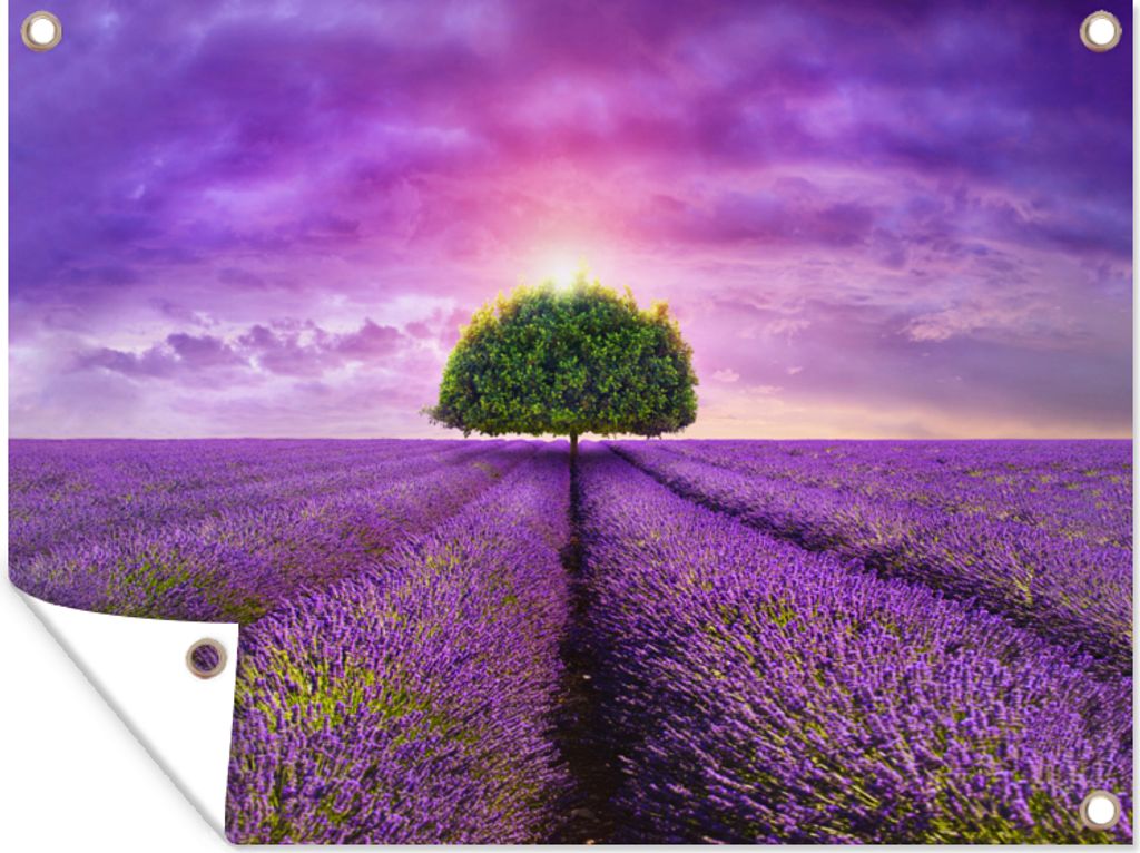 MuchoWow 120x90 cm Outdoor-Poster Gartendeko Sichtschutz Garten Poster für den Garten Lavendel - Baum - Lila - Wolken