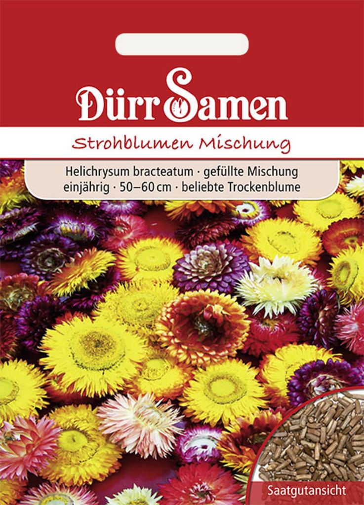 Dürr-Samen - Strohblume gefüllte Mischung einjährig 50-60 cm - Saatgut - 0736
