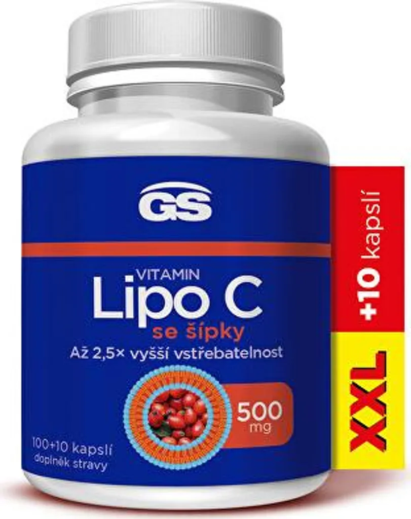 Vitamine C Liposomale Haute Absorption 500 mg + Cynorrhodon Format XXL 110