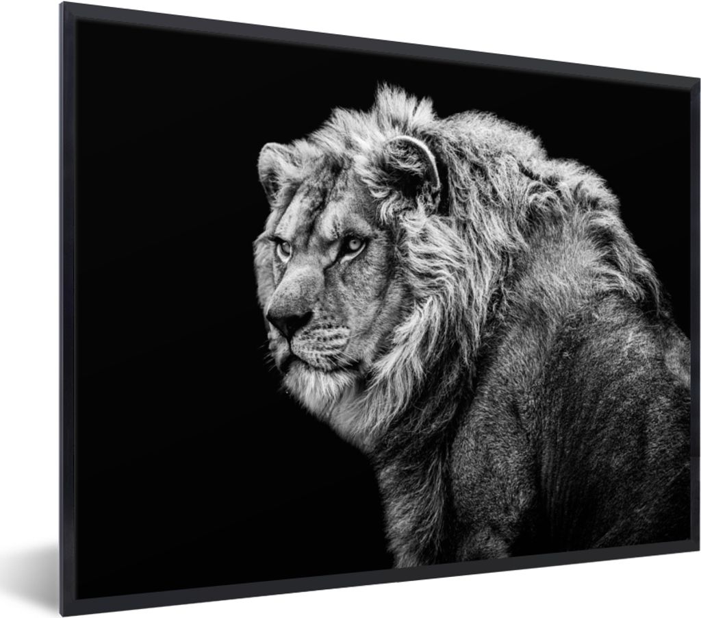MuchoWow Gerahmtes Poster Löwe - Porträt - Wildtiere - Schwarz - Weiß 40x30 cm - Poster mit Schwarzem Bilderrahmen Wandposter Rahmen Foto Bild...