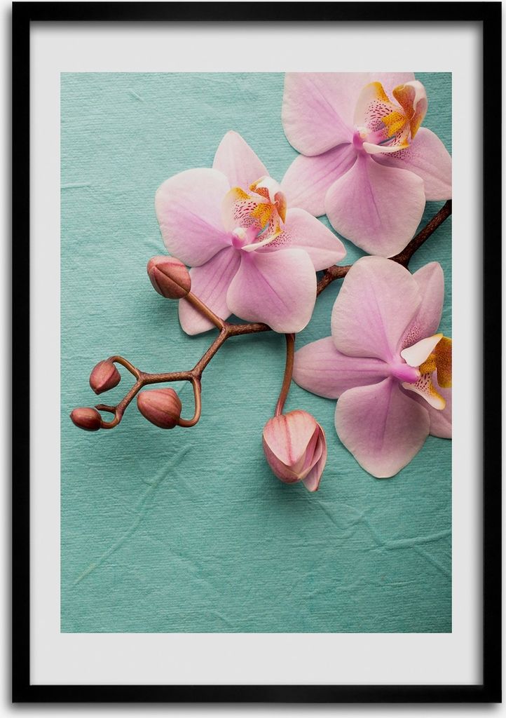 Bild - Bilderrahmen - Foto - 70 cm x 100 cm - MDF - Rahmen - Wandkunst - Rosa Orchidee